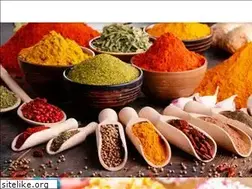 Sites similar to primak.com.mx