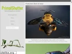 Sites similar to primalshutter.com