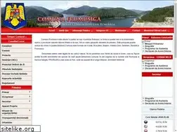 Sites similar to primariafrumusica.ro