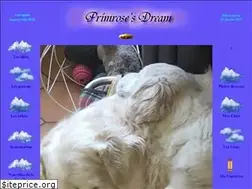 Sites similar to primrosesdream.com