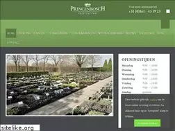 Sites similar to princenbosch.info