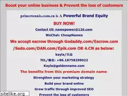 Sites similar to princetennis.com.cn