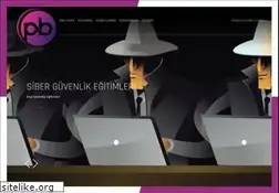 Sites similar to privatebilisim.com