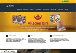 Sites similar to prizmaambalaj.com