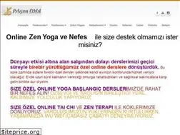 Sites similar to prizmaetkisi.com