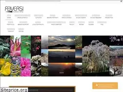 Sites similar to pro-reversi.com