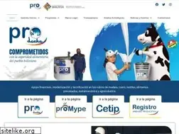 Sites similar to probolivia.gob.bo