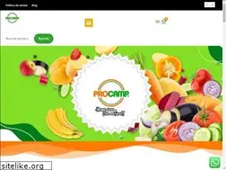 Sites similar to procamp.cl