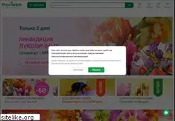 Sites similar to procvetok.ru