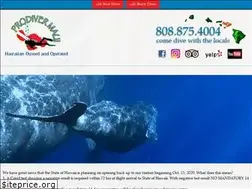Sites similar to prodivermaui.com