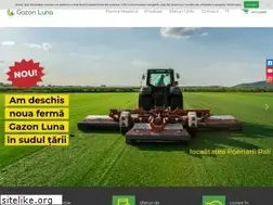 Sites similar to producatorgazon.ro