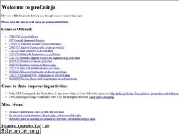 Sites similar to prof.ninja