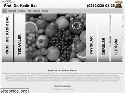Sites similar to profdrkadirbal.com