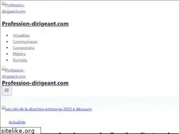 Sites similar to profession-dirigeant.com