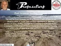 Sites similar to professurf.com