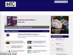 Sites similar to profesyonelbric.com