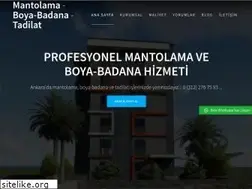 Sites similar to profesyonelmantolama.com