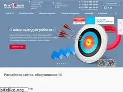 Sites similar to profiteam.pro