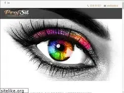 Sites similar to profsil.nl