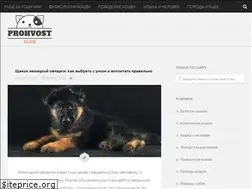 Sites similar to prohvost.club