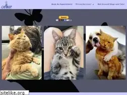 Sites similar to projectcatsnip.com