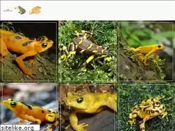 Sites similar to projectgoldenfrog.org