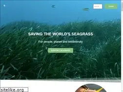 Sites similar to projectseagrass.org