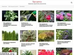 Sites similar to proklumbu.com