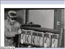 Sites similar to prologue.blogs.archives.gov