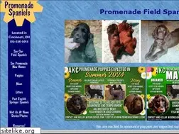 Sites similar to promenadespaniels.com