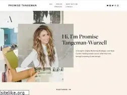 Sites similar to promisetangeman.com