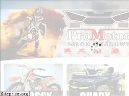 Sites similar to promotor.radom.pl