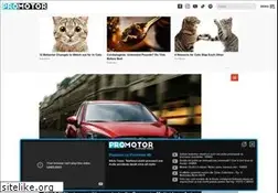 Sites similar to promotor.ro