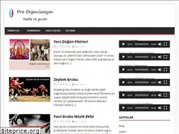 Sites similar to proorganizasyon.com