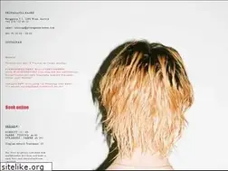 Sites similar to propaganda-haare.com
