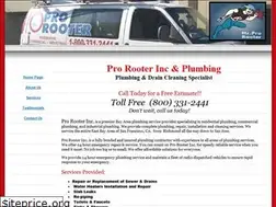 Sites similar to prorooterinc.net