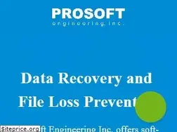 Sites similar to prosofteng.com