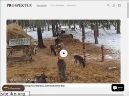 Sites similar to prospektus.lt