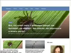 Sites similar to protarakanov.ru