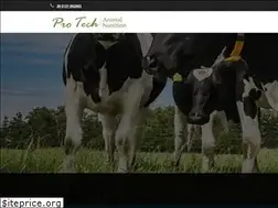 Sites similar to protechsrl.info