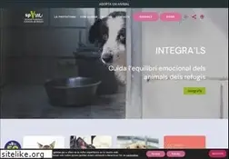 Sites similar to protectoramataro.org