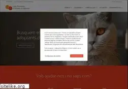 Sites similar to protectorasabadell.org