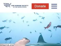 Sites similar to protectsharks.org