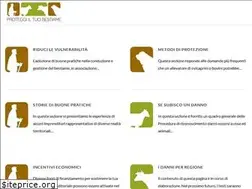 Sites similar to protezionebestiame.it