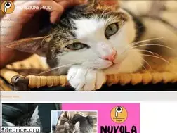 Sites similar to protezionemicio.it