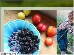 Sites similar to proverbsthirtyonewoman.blogspot.com