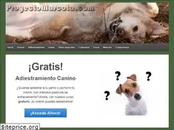Sites similar to proyectomascota.com