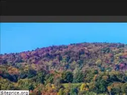 Sites similar to prozzoauctions.com