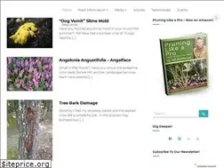 Sites similar to pruningtogrow.com