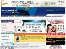 Sites similar to przemyslak.pl